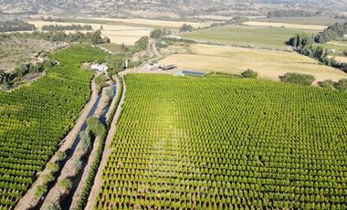 Agrícola en Venta en Chepica