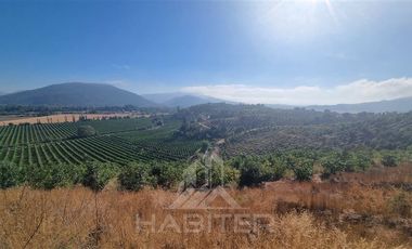 Agrícola en Venta en Chepica