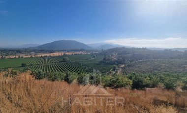 Agrícola en Venta en Chepica