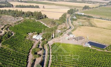 Agrícola en Venta en Chepica