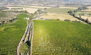 Agrícola en Venta en Chepica