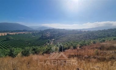 Agrícola en Venta en Chepica