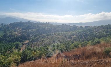 Agrícola en Venta en Chepica