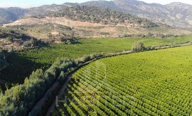 Agrícola en Venta en Chepica