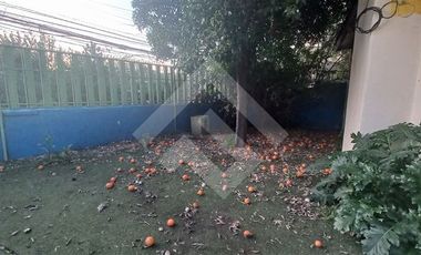 Local Comercial en Venta en Dublé Almeyda / Los Aliaga