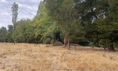 Parcela en Venta en El Olivo