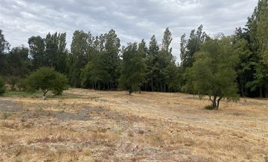 Parcela en Venta en El Olivo