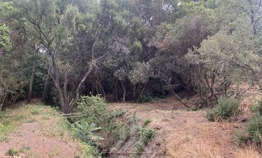 Parcela en Venta en El Olivo