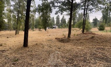 Parcela en Venta en El Olivo