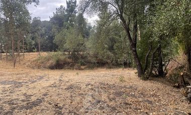 Parcela en Venta en El Olivo