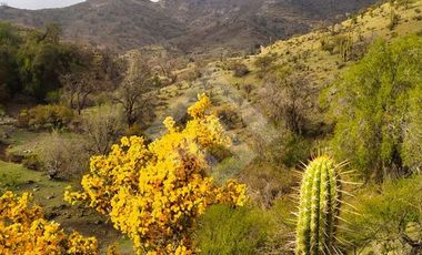 Sitio en Venta en San Esteban