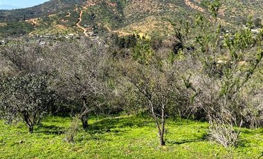 Parcela en Venta en Parcela en Quebrada Escobares