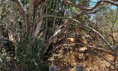 Parcela en Venta en Parcela en Quebrada Escobares