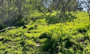 Parcela en Venta en Parcela en Quebrada Escobares