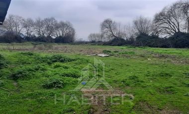 Agrícola en Venta en SECTOR EL LLANO DE RAUCO
