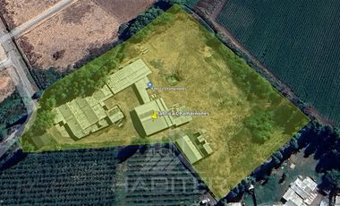 Agrícola en Venta en SECTOR EL LLANO DE RAUCO