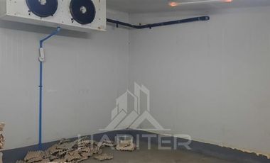 Agrícola en Venta en SECTOR EL LLANO DE RAUCO