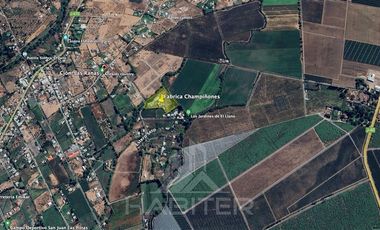 Agrícola en Venta en SECTOR EL LLANO DE RAUCO