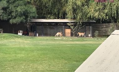 Casa en Venta en Camino Carampangue - Colegio Trebulco