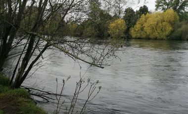 Parcela en Venta en Rio Rahue