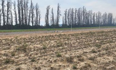 Terreno Construccion  en Venta en Loteo en Las Mercedes, Requínoa