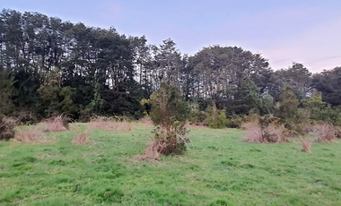 Parcela en Venta en CRUCE QUINCHED