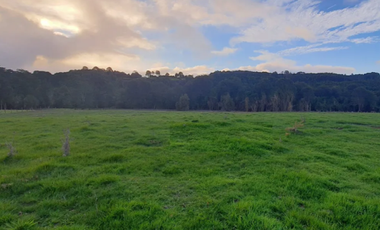 Parcela en Venta en CRUCE QUINCHED