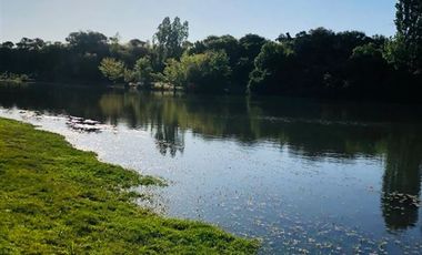 Agrícola en Venta en Parral