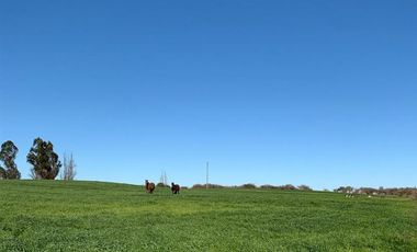 Agrícola en Venta en Parral