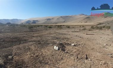 Agrícola en Venta en Sitio en venta sector Chamonate