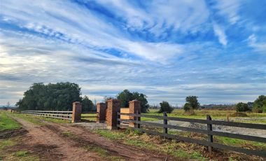Parcela en Venta en Lago Ranco, Paillaco