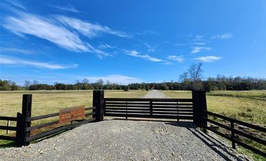 Parcela en Venta en Lago Ranco, Paillaco