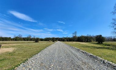 Parcela en Venta en Lago Ranco, Paillaco