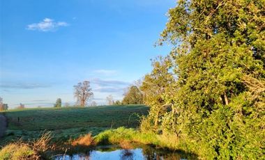 Parcela en Venta en Lago Ranco, Paillaco
