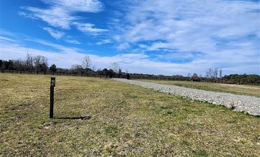 Parcela en Venta en Lago Ranco, Paillaco
