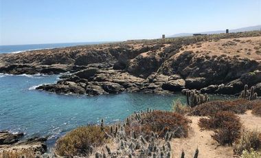 Sitio en Venta en https://maps.app.goo.gl/hfGPivweEJGy4----