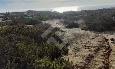 Parcela en Venta en El Arrayan Costero