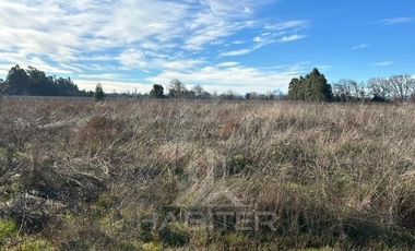 Parcela en Venta en Frente Supermercado El Alamo