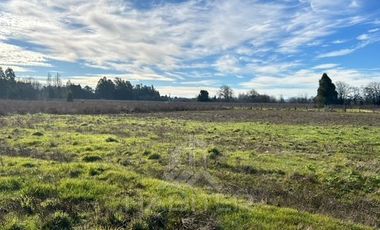 Parcela en Venta en Frente Supermercado El Alamo