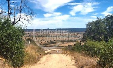 Parcela en Venta en Litueche
