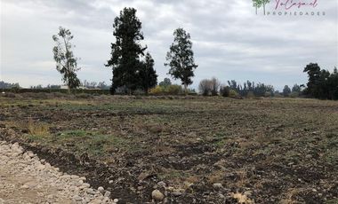 Parcela en Venta en Camino Carampangue - Colegio Trebulco