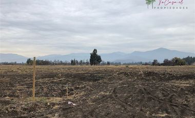 Parcela en Venta en Camino Carampangue - Colegio Trebulco