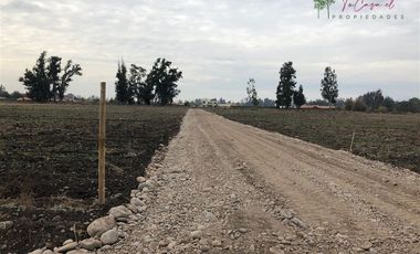 Parcela en Venta en Camino Carampangue - Colegio Trebulco