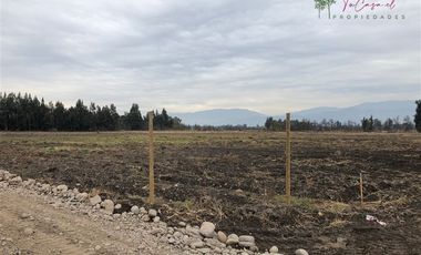 Parcela en Venta en Camino Carampangue - Colegio Trebulco