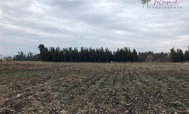 Parcela en Venta en Camino Carampangue - Colegio Trebulco