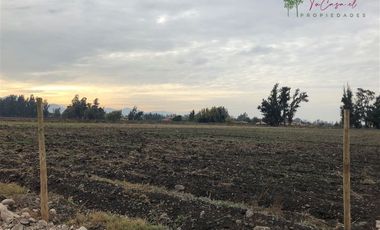 Parcela en Venta en Camino Carampangue - Colegio Trebulco