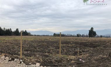 Parcela en Venta en Camino Carampangue - Colegio Trebulco