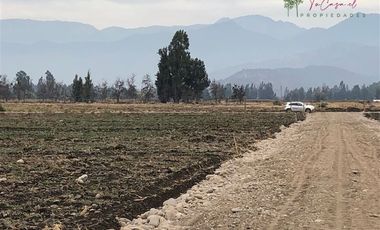 Parcela en Venta en Camino Carampangue - Colegio Trebulco