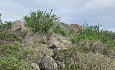 Sitio en Venta en El Panul