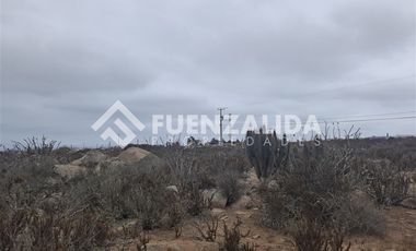 Sitio en Venta en El Panul